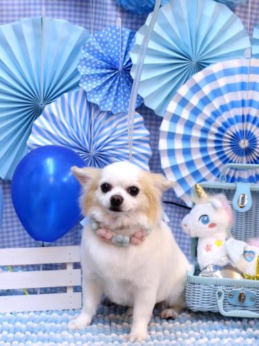 20231123ラテくん